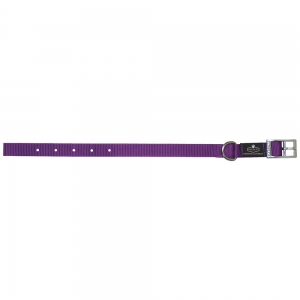 Prestige SINGLE LAYER NYLON COLLAR 3/4"x 14" Purple (36cm) - Click for more info